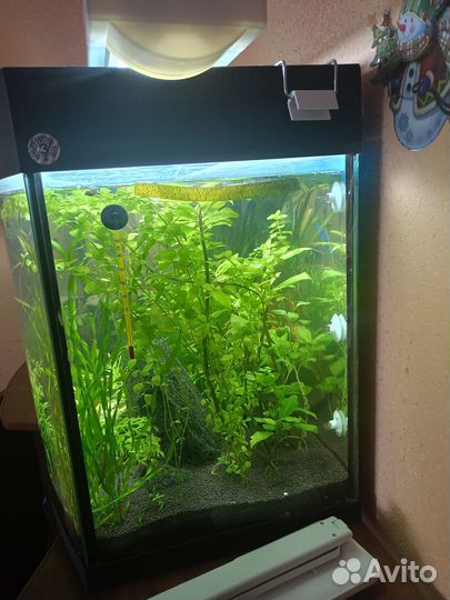 Аквариум