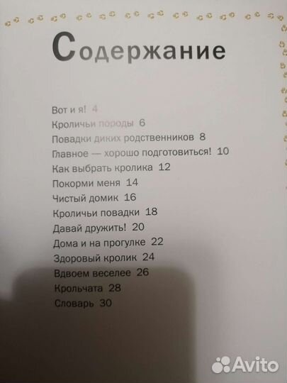 Книга. Кролик. Домашние любимцы