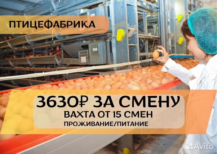 Стикеровщик. Выезд на вахту бесплатный