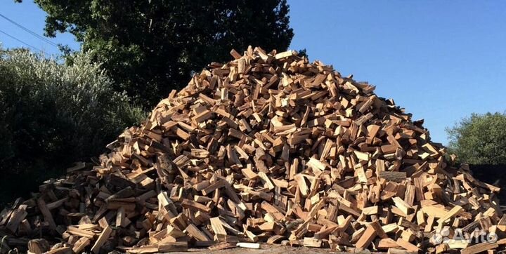 Дрова в область