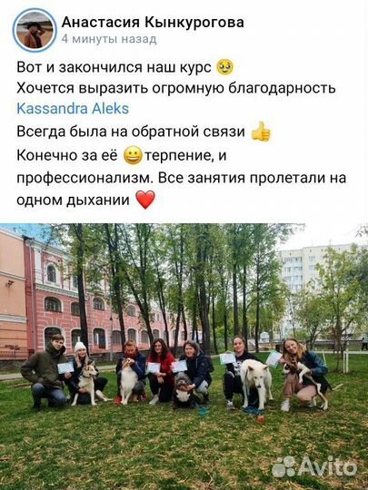 Групповые тренировки для щенков