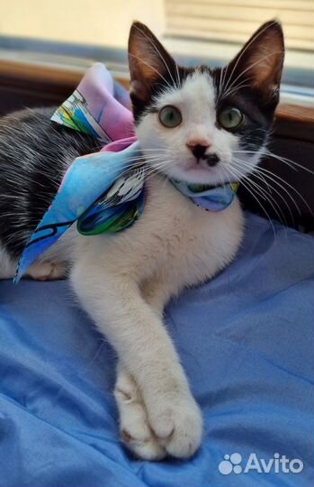 Малышка Джулия в добрые руки