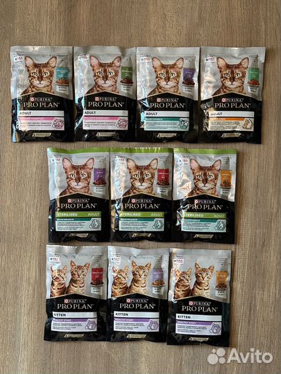 Влажный корм