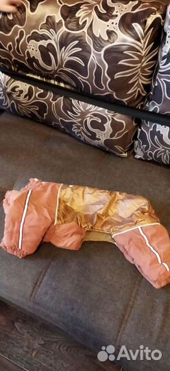 Одежда для собак