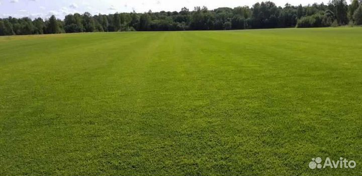 Укладка и продажа газона