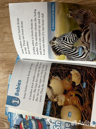 20 книг Oxford read and discover Level 1