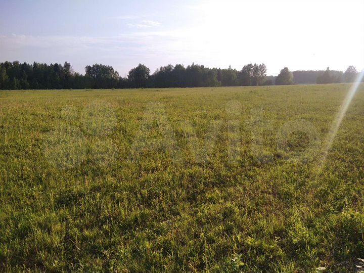 Участок 5,6 га (ИЖС)