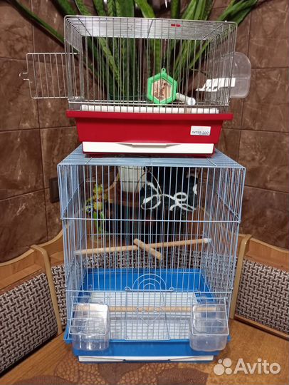 Клетки для птиц