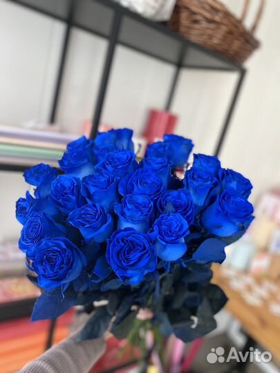 Цветы розы Эквадор, 60см букет Казань