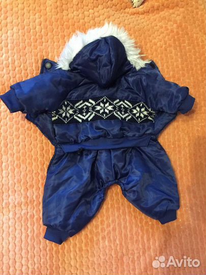 Одежда для маленьких собак