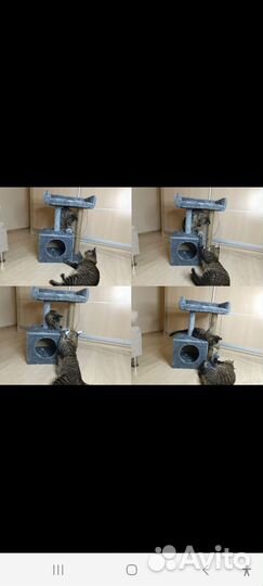 Домик для кошки,когтеточка новый