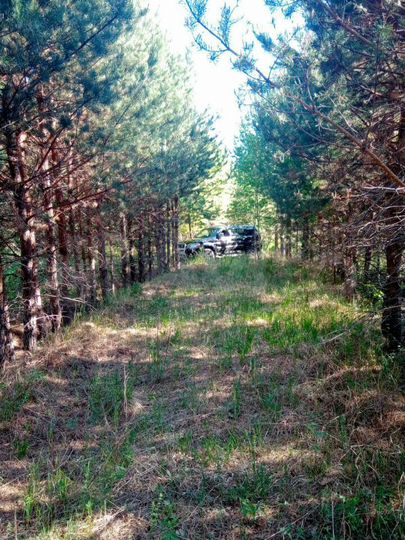 Участок 2 га (промназначения)