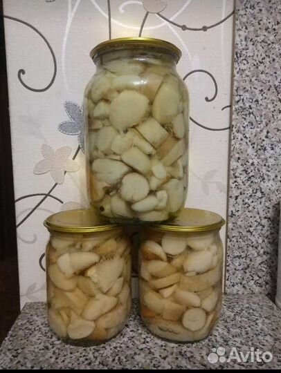 Грибы рыжики и другие