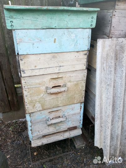 Пчелиные улья