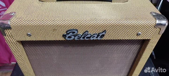 Комбоусилитель Belcat