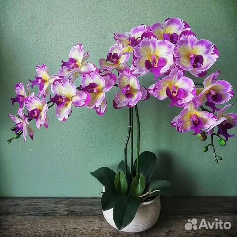 Силиконовая орхидея Real Touch