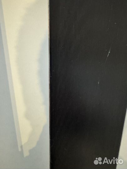 Горные лыжи Fischer RC4 GS183