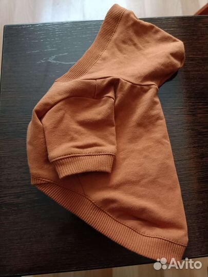 Худи для маленькой собачки