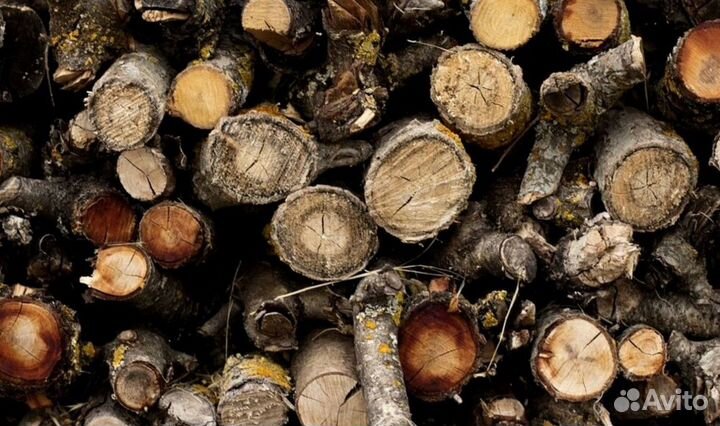 Дрова в город