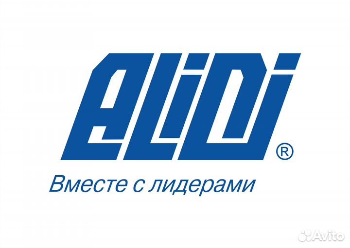 Аудитор Звенигород