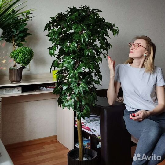 Искусственные деревья фикус, манго, ива, черешня