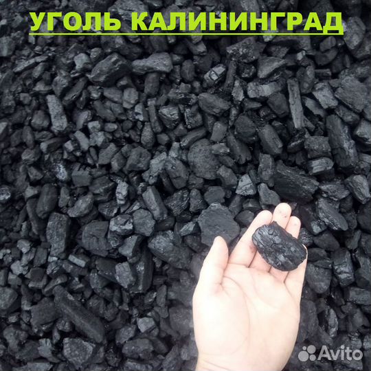 Уголь Калининград