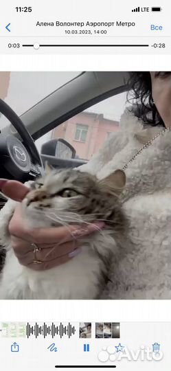 Малыш из приюта ищет семью