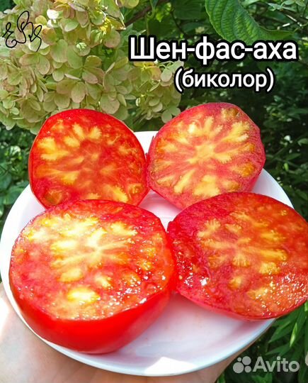 Семена томатов