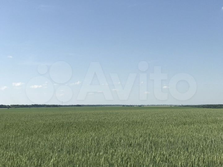 Участок 5,15 га (СНТ, ДНП)