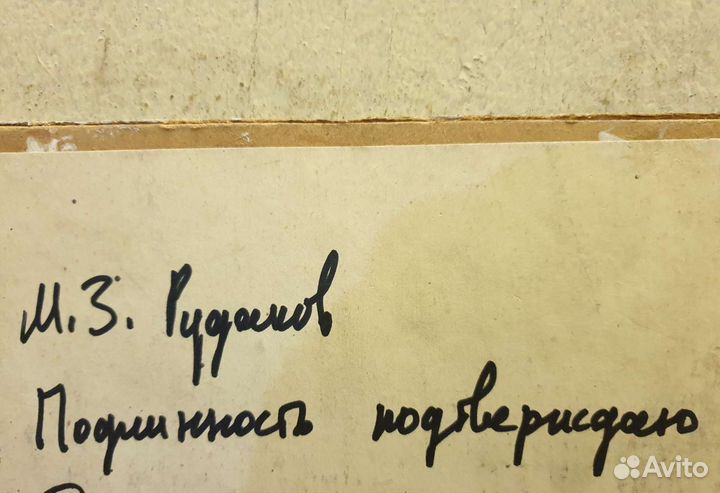 Картина, Рудаков Михаил, Заслуженный художник