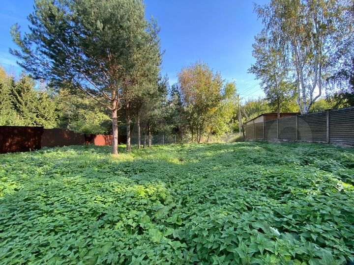 Участок 20 сот. (ИЖС)