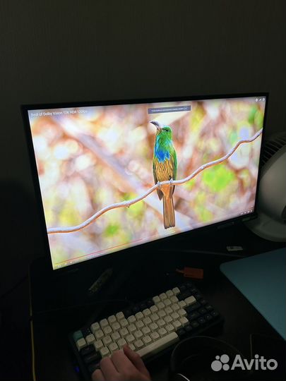 Монитор Acer Predator XB273U Fb 360hz