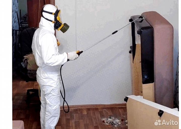 Уничтожение клопов тараканов грызунов