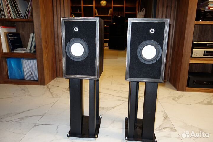 Aurora Audio Silver Monitor