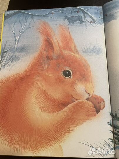 Большая кника сказок Виталий Бианки