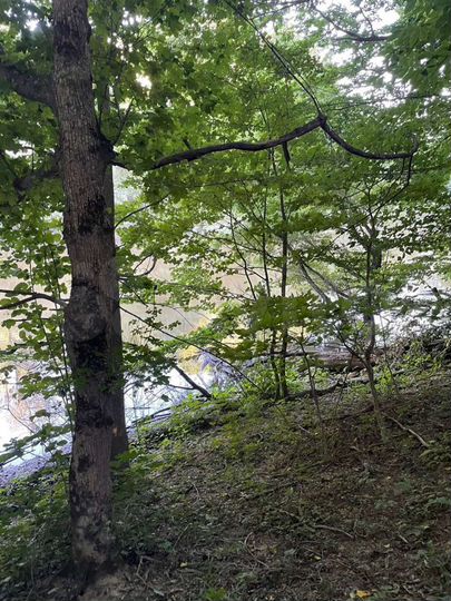 Участок 14,09 га (ИЖС)