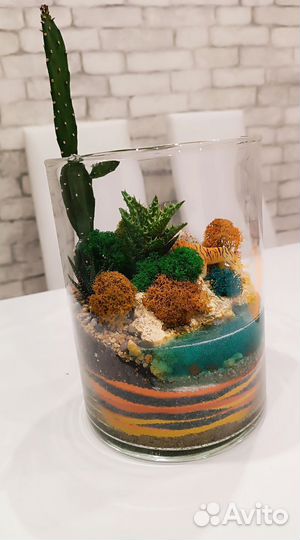 Флорариум. Цветы. Подарок