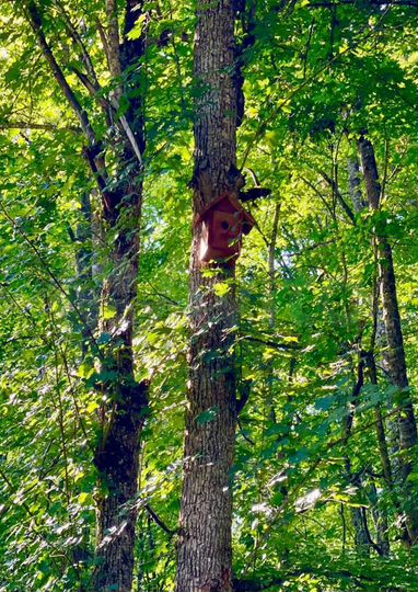 Дом 97 м² на участке 14 сот.