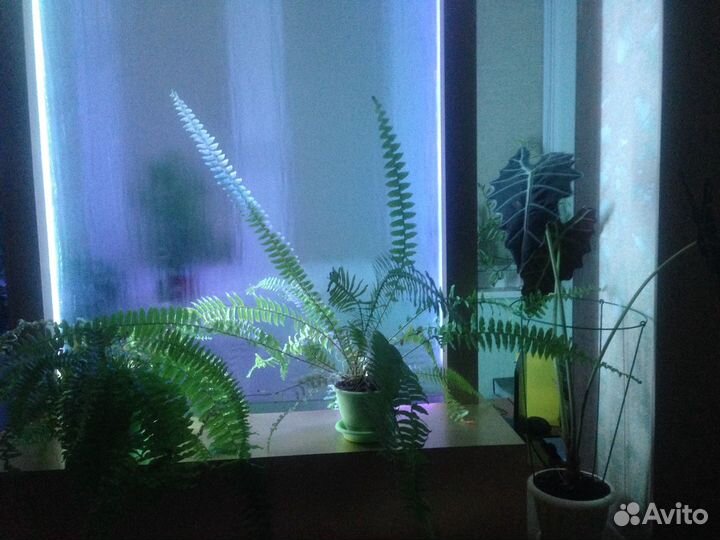 Водная панель