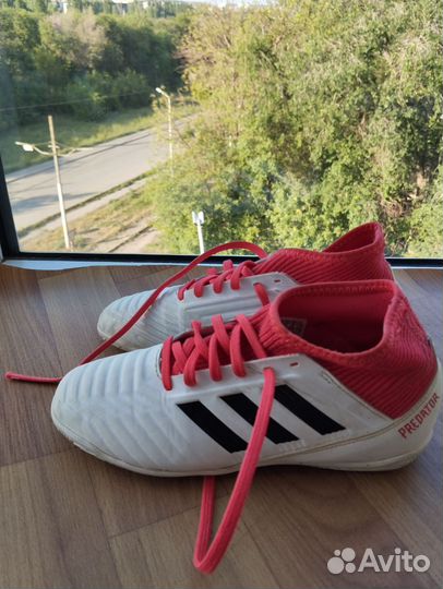 Футзалки adidas predator