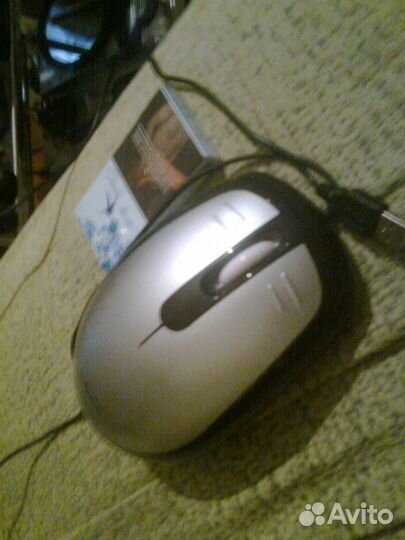 Мышь - гигант