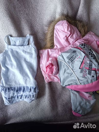 Для маленьких собак