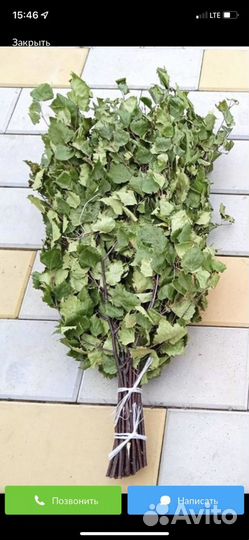 Березовые веники