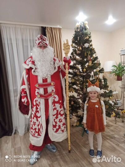 Дед Мороз к Вам домой