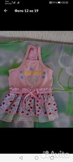 Летний сарафан для маленькой собачки