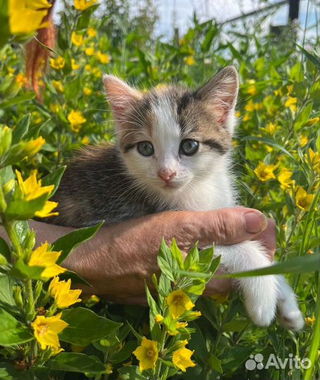 Ми ми малышка