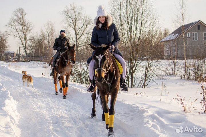 Катание и фотосессия на лошадях, обучение