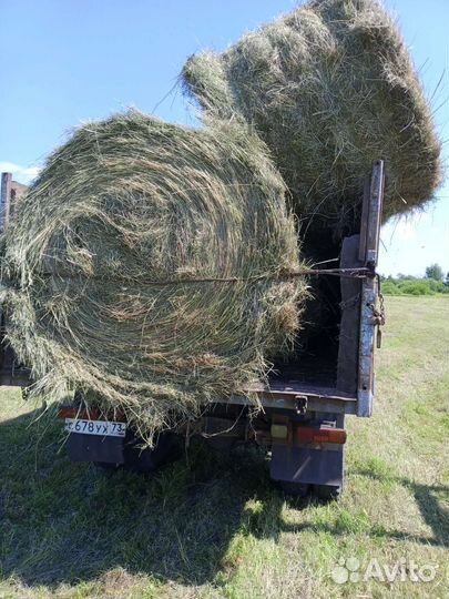 Сено 350 кг тюк