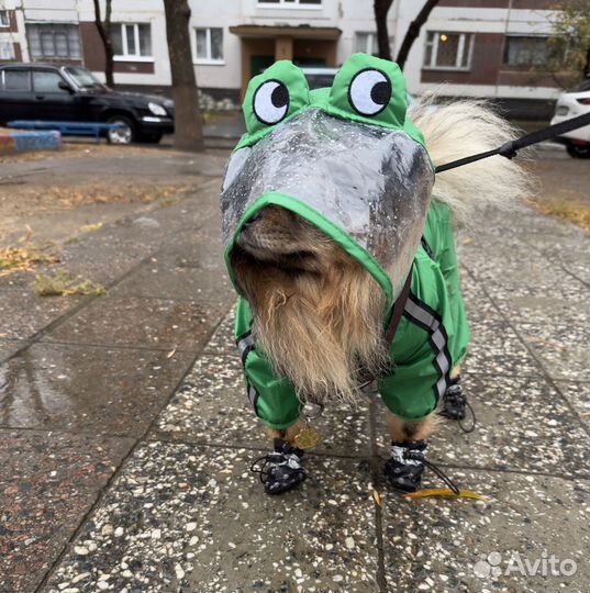 Дождевик для собаки