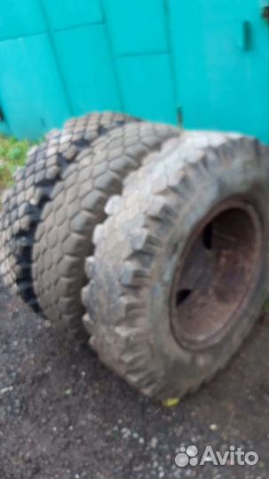 Accelera Beta 260/9 R20 20